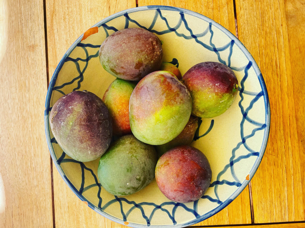 Bowl of local Andalusian mangoes on a wooden table