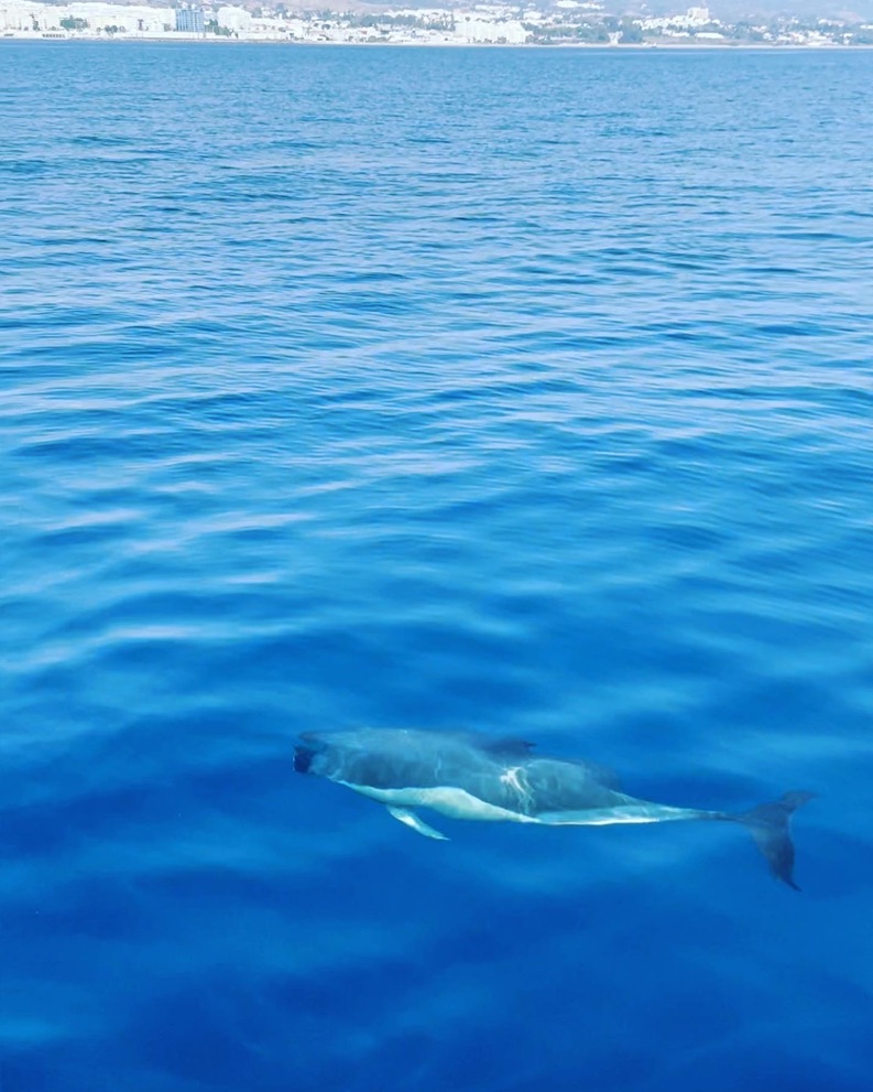 Koh Rong Samloem — a tiny island of  the Cambodian coast with some great sustainability work