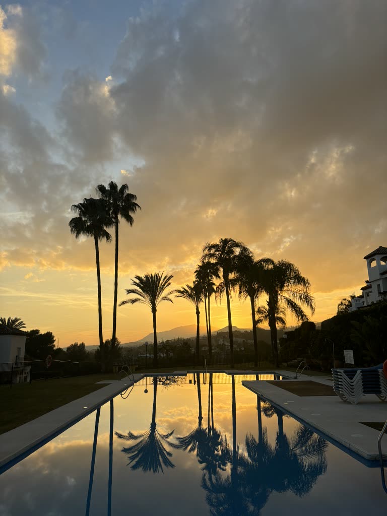 Palm trees reflected in a pool at sunset in Nueva Andalucía