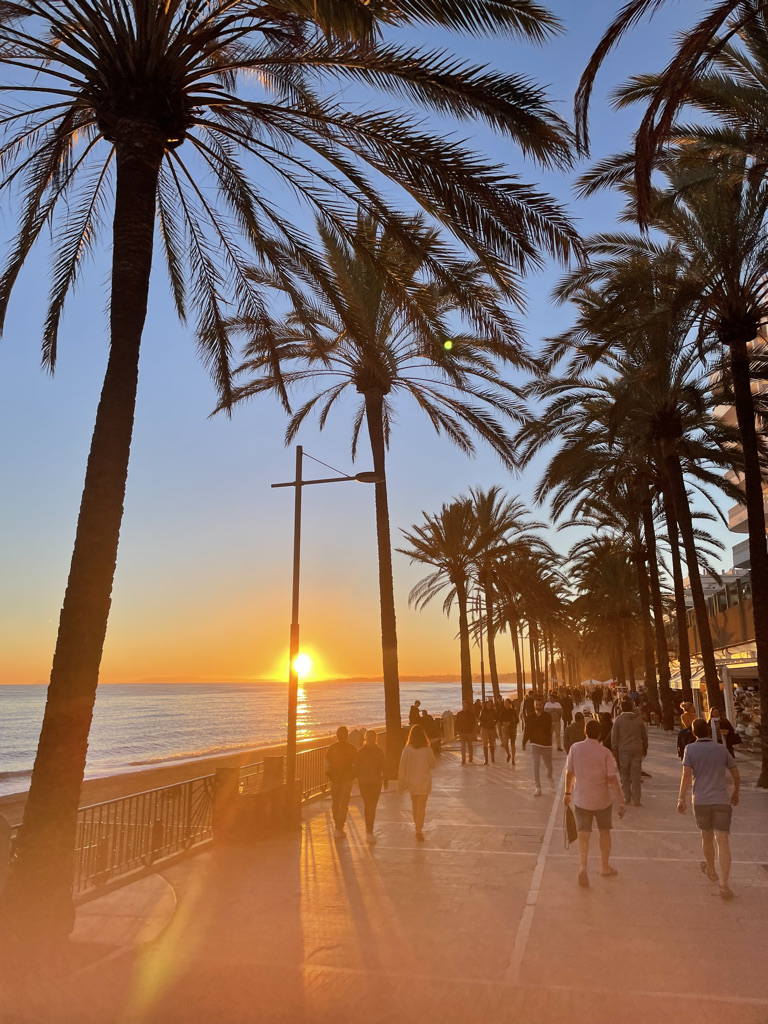 What taking a break from life taught me